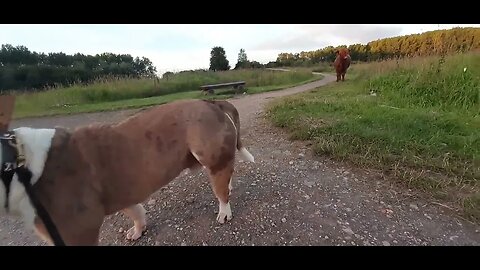 rasterhof park langs de schotse hooglanders