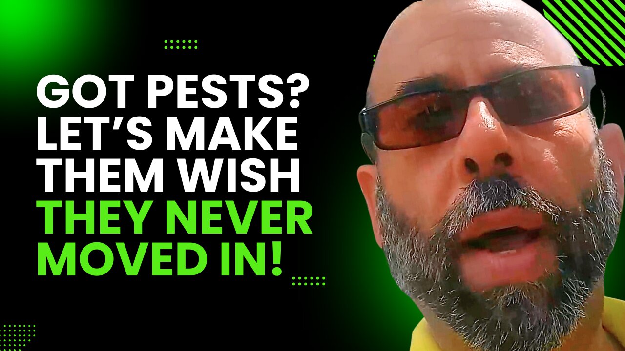 Effective Pest Control Expert Tips for Eliminating Hidden Infestations