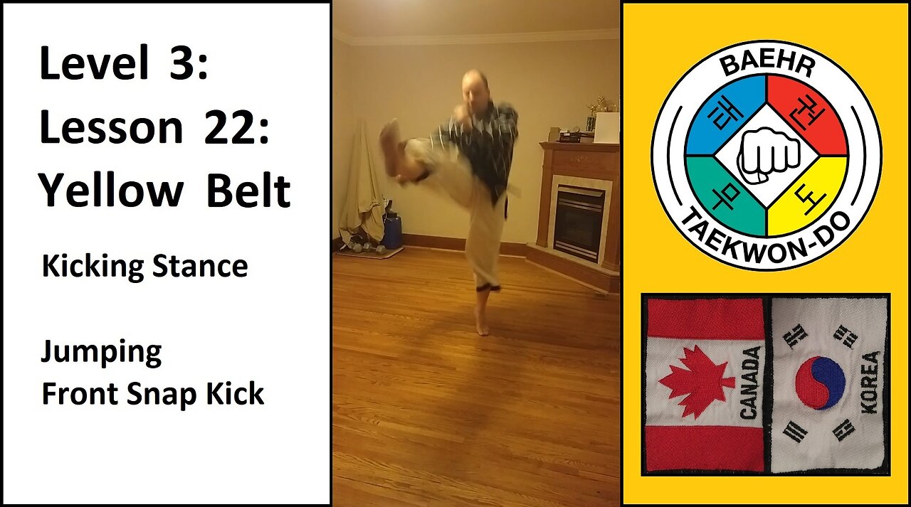 Baehr Taekwondo: 03-22: Yellow Belt: Kicking Stance - Jumping Front Snap Kick