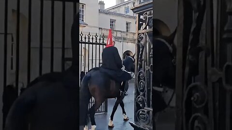 Horse's taking back in trans rights protest #horseguardsparade