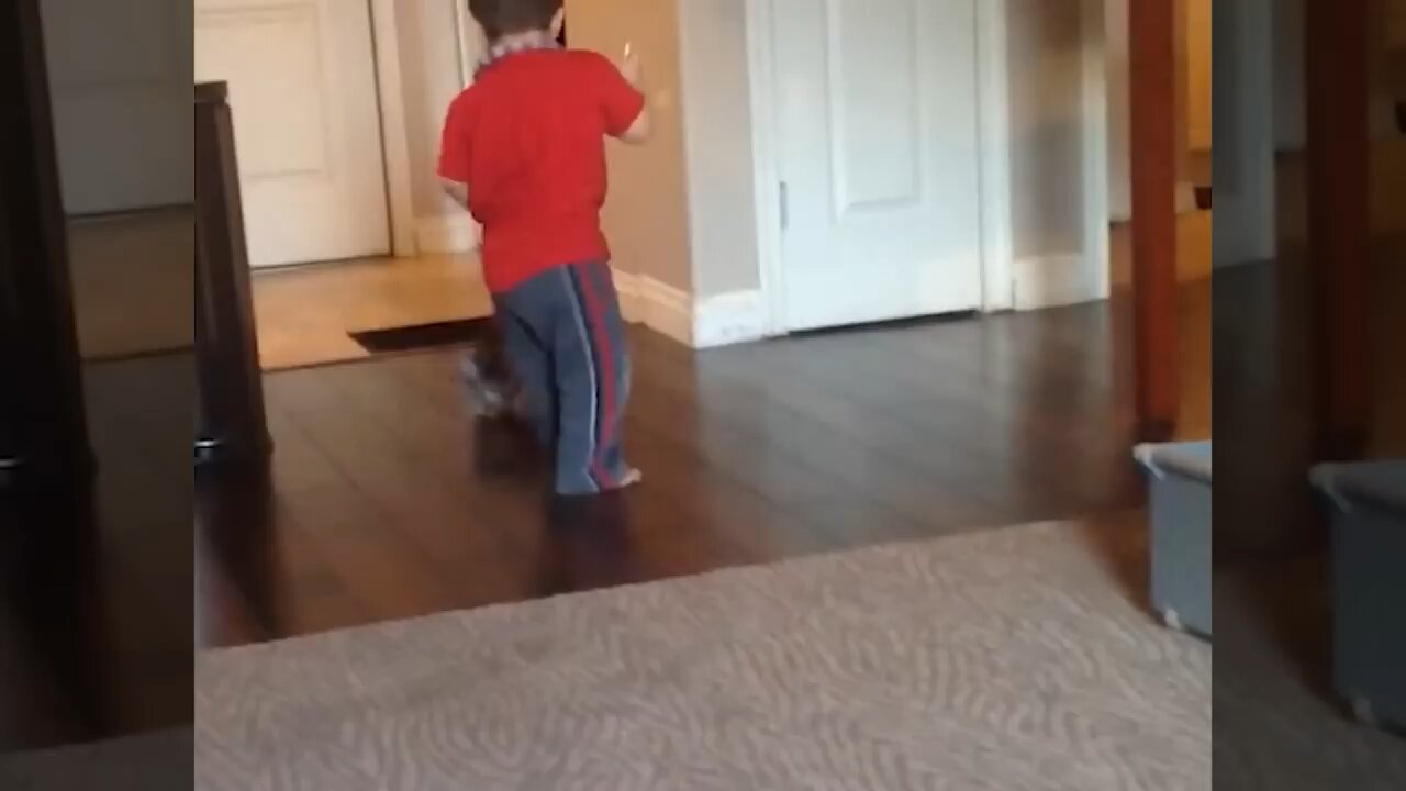 Funny Video