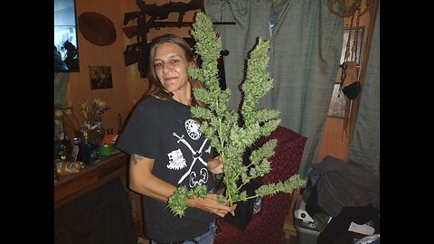 2023 comes to a end happy harvest