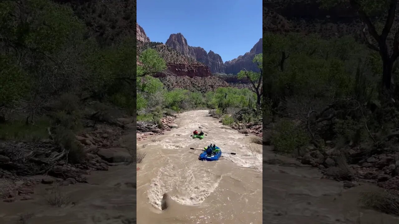 River Rafting | Zion National Park | Virgin River #shorts #short