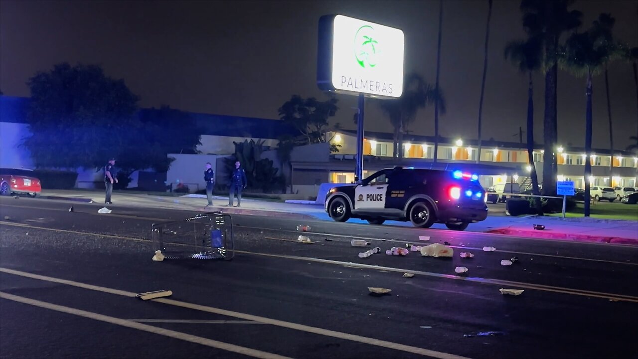 Hit & Run on a Pedestrian