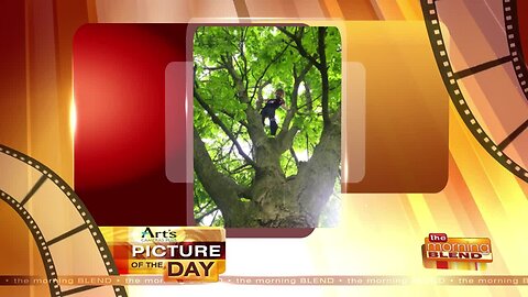 Art's Camera Plus Picture of the Day for June 14!
