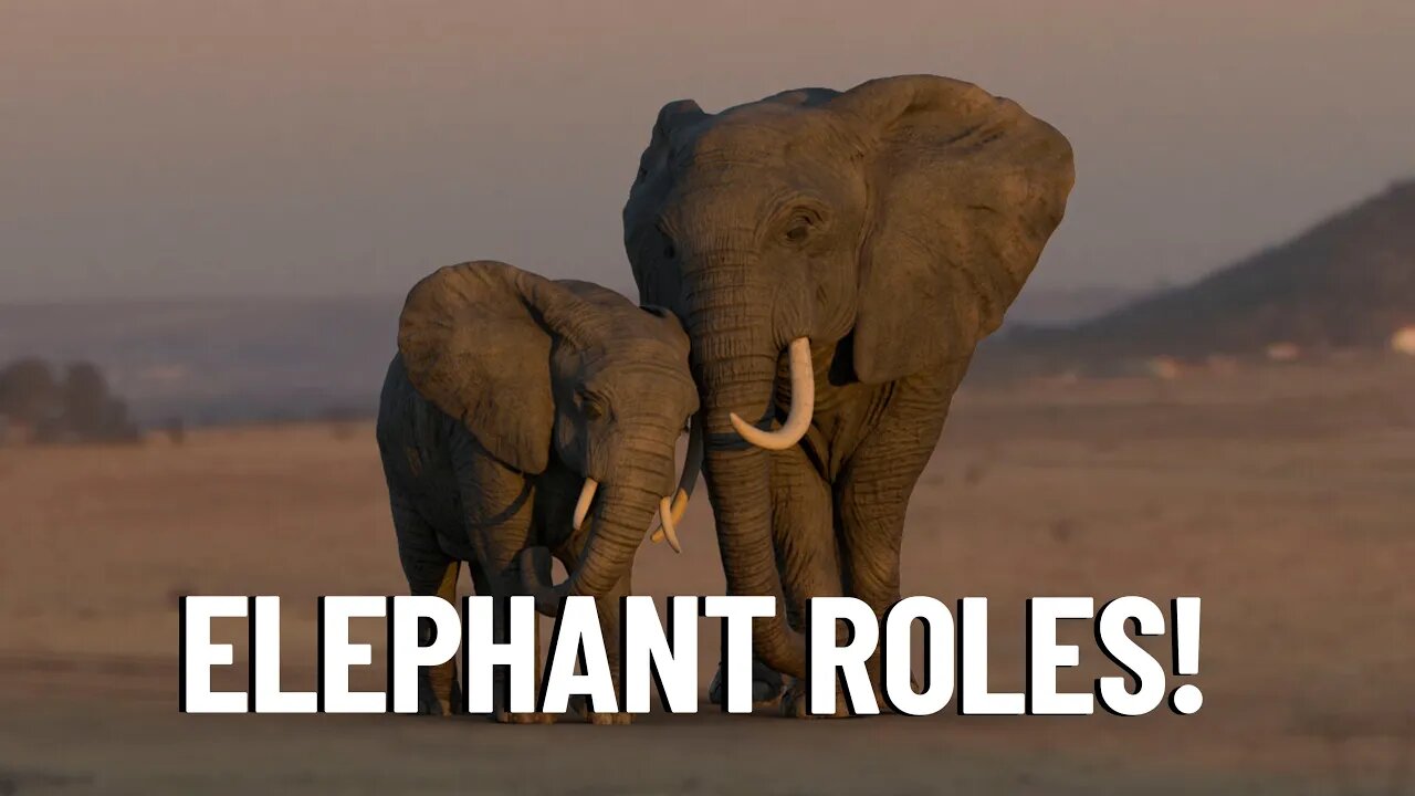 Why Are African Elephants So Important?