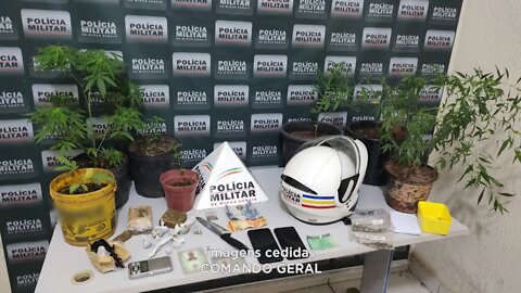 Combate ao Tráfico: Dupla detida com Vasos de Maconha plantada e Outros Objetos no Jardim Pérola.