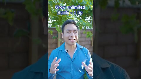 Grow unlimited Basils #viral #shorts #viralshorts #basil #gardening #herbs GreenMangoes