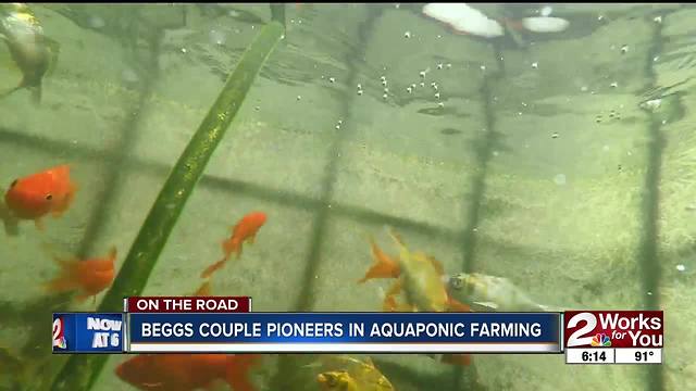 Beggs couple pioneers in aquaponic farming