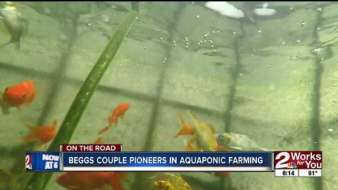 Beggs couple pioneers in aquaponic farming