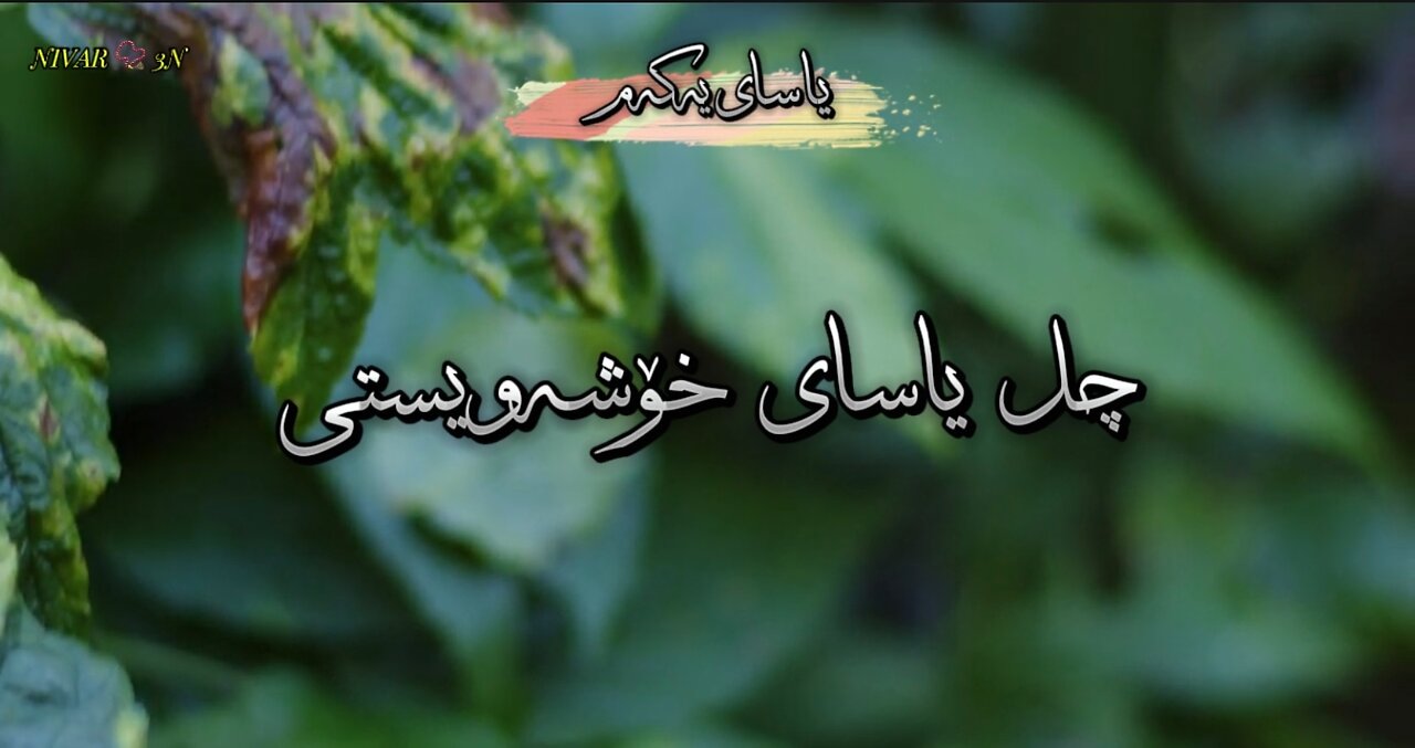 چل یاسای خۆشەویستی - یاسای یەکەم