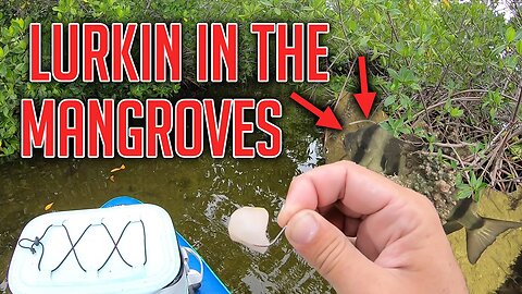 Fishing on my new inflatable paddleboard in 30+ winds Catch and Cook