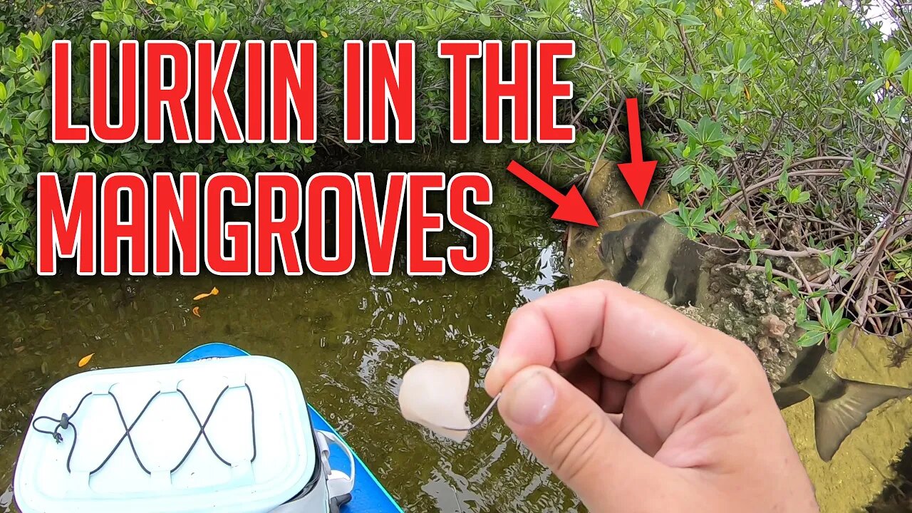 Fishing on my new inflatable paddleboard in 30+ winds Catch and Cook