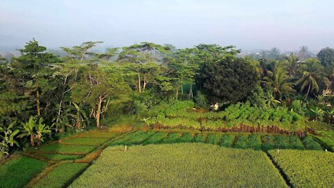 India Nature Beauty