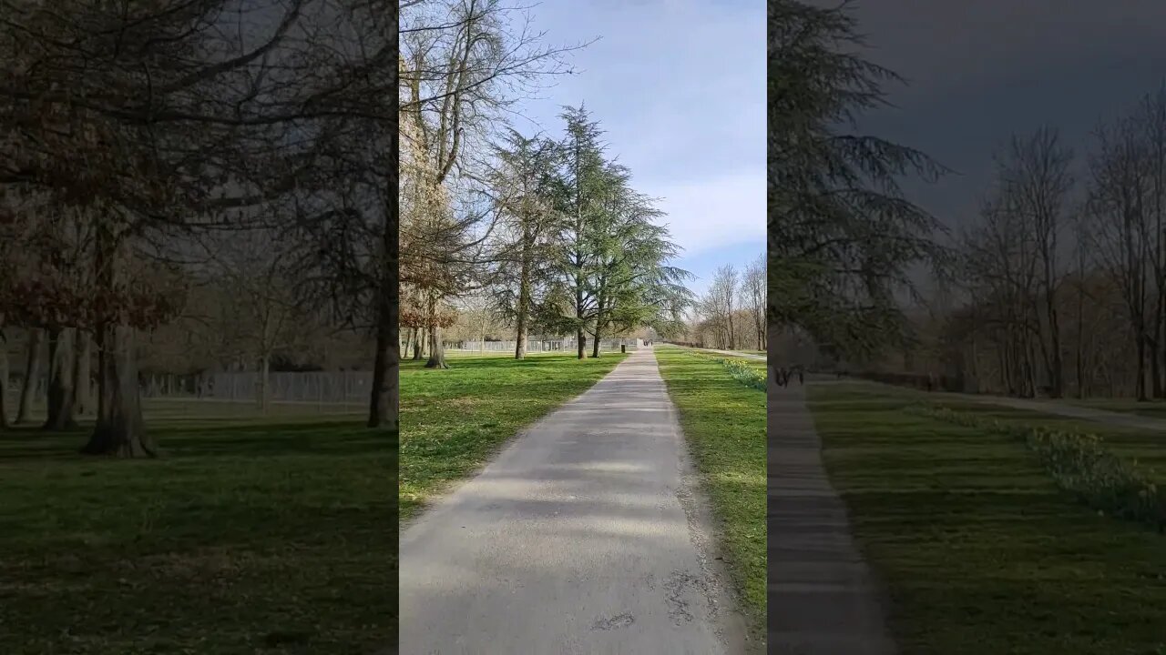 Park #shorts #youtubeshorts #shortsvideo