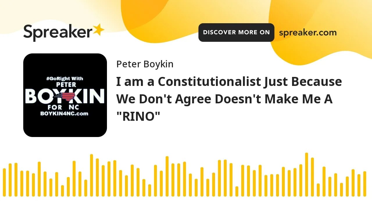 I am a Constitutionalist Just Because We Don't Agree Doesn't Make Me A "RINO"