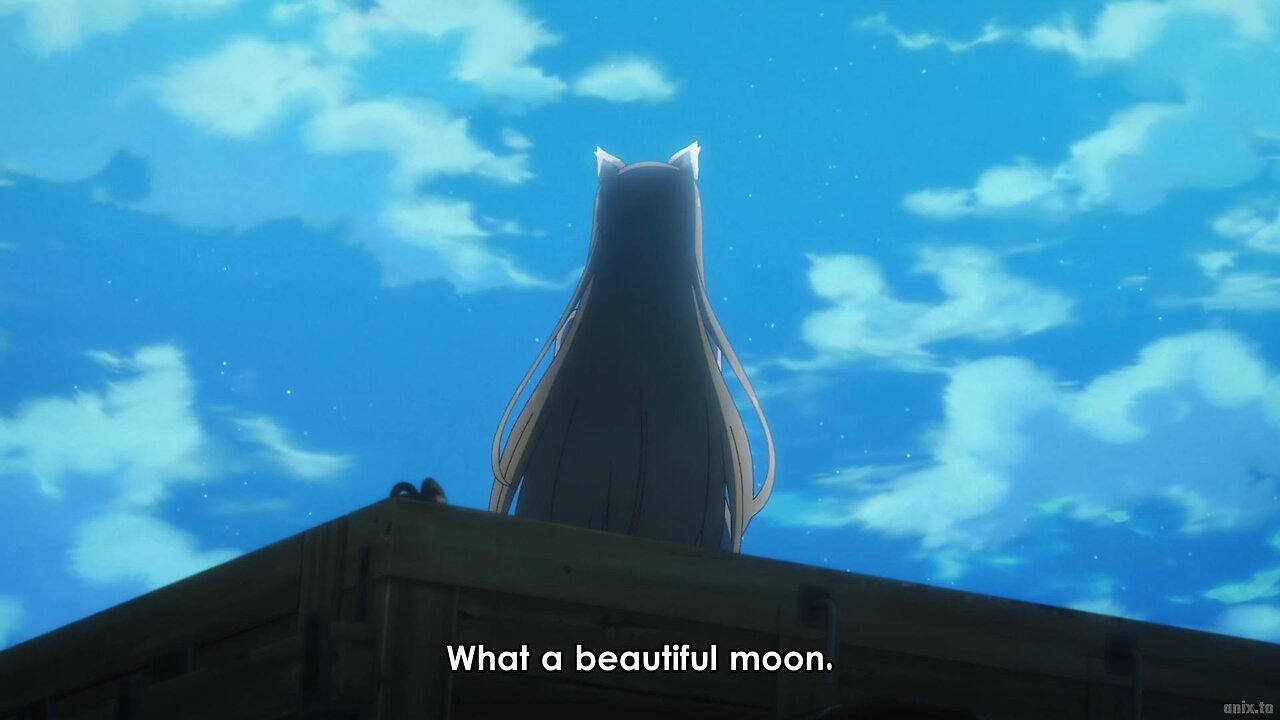 best wolf girl has returned | Spice and Wolf: merchant meets the wise wolf