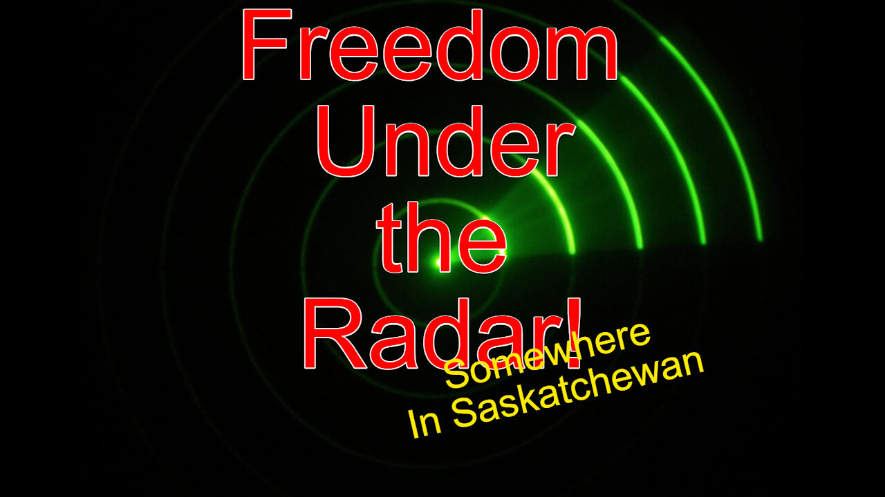 Freedom Under the Radar - Part One - RB Ham - Plandemic