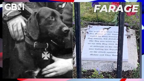 Dambusters Dog: Grave of mascot will remain in place despite pleas to move