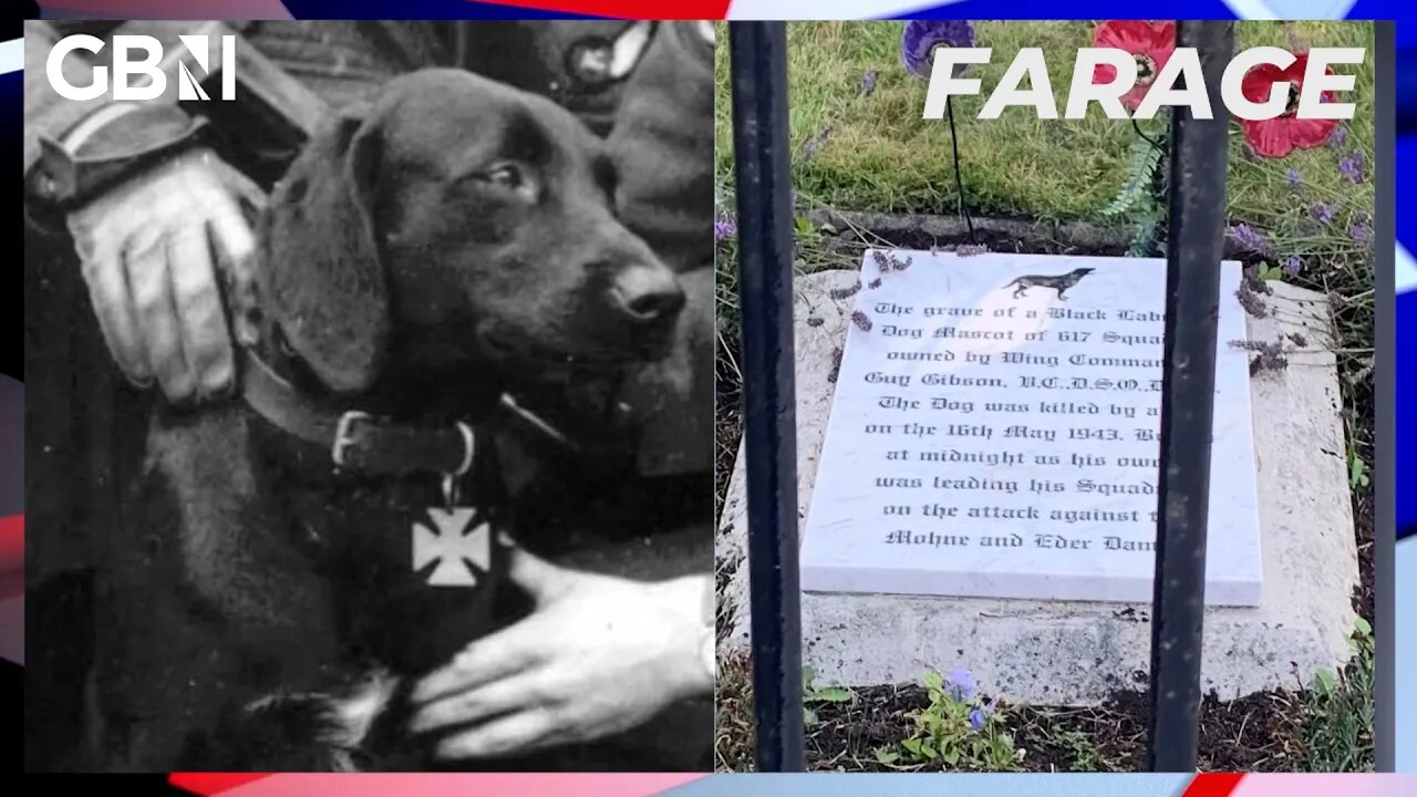 Dambusters Dog: Grave of mascot will remain in place despite pleas to move