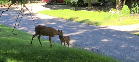 Just a normal day at my house