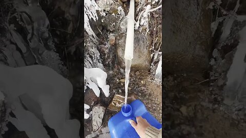 Gathering spring water from the side of a mountain #shorts