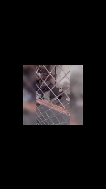 A serviceman of the Armed Forces of Ukraine, a native of Shchastye (Luhansk province), detained by the LPR prosecutor’s office, spoke about how he was subjected to bullying and humiliation by the command and colleagues because of his origin