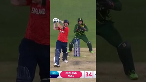 @NSJ TV @cricket.com.au #cricket @cricket.com.au