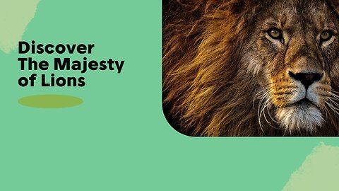 fascinating facts about lions: