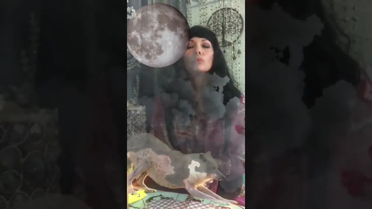 #thechicksofquantumcomedy #manifestation #selfempowerment #comedy #quantum #createreality#halloween
