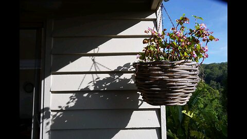 Household Highlights