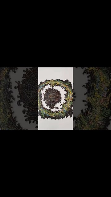 Spider making his web 🕸 #puzzle #stopmotion #shorts #spider #viral #satisfying