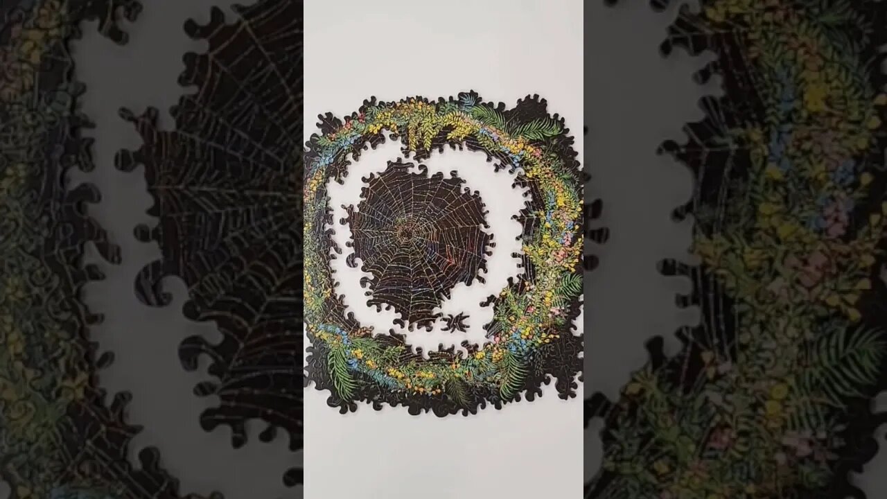 Spider making his web 🕸 #puzzle #stopmotion #shorts #spider #viral #satisfying