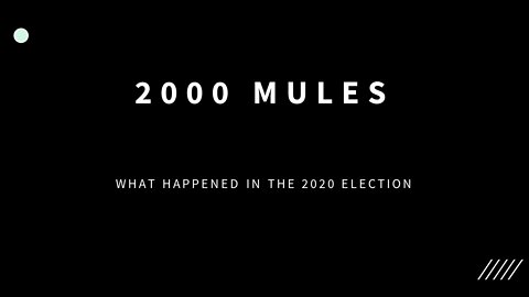 2000 Mules: What Happened in the 2020 Election