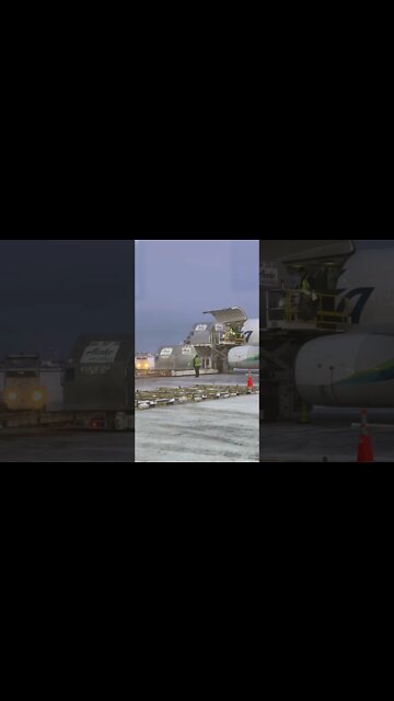 Alaska airlines unloading a cargo plane in 0f degree weather