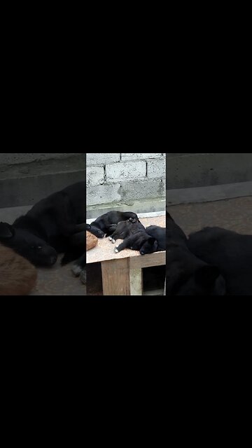 Отдыхаем на крыше 🤪