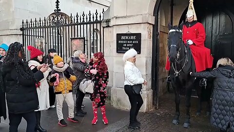 A nip on the leg #horseguardsparade