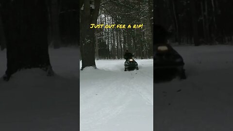 30 year old sled still RIPS