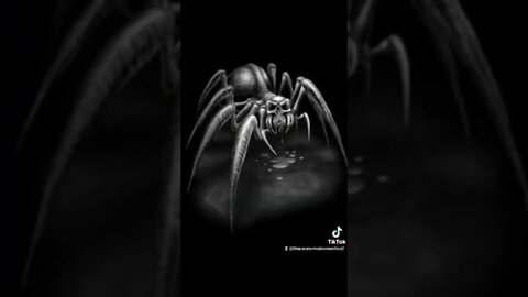 Creepy Spiders 🕷