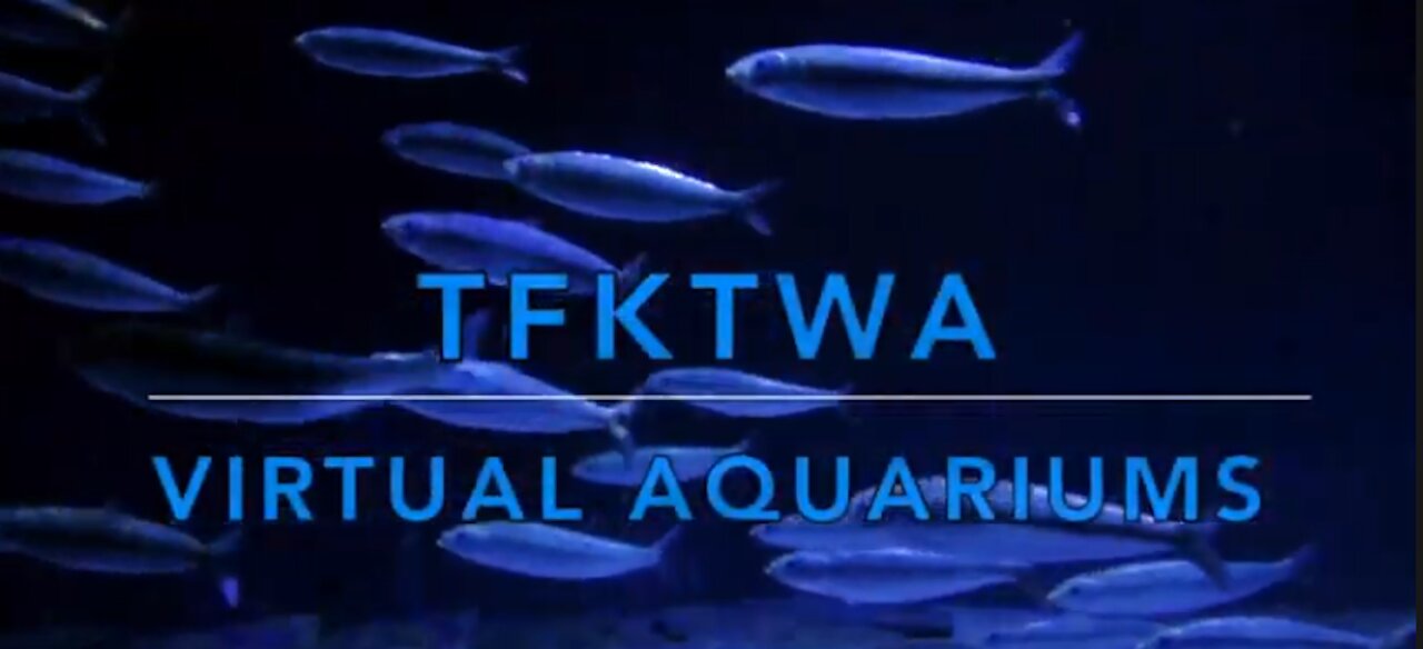 Aquarium with bubbles NO MUSIC Low light for SLEEP TFKTWA VIRTUAL AQUARIUMS dj brenda black