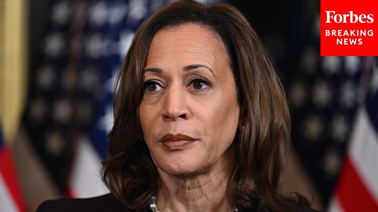 Political Scientist Criticizes Harris’s Response On The Economy To CNN: 'She Doesn't Have An Answer'