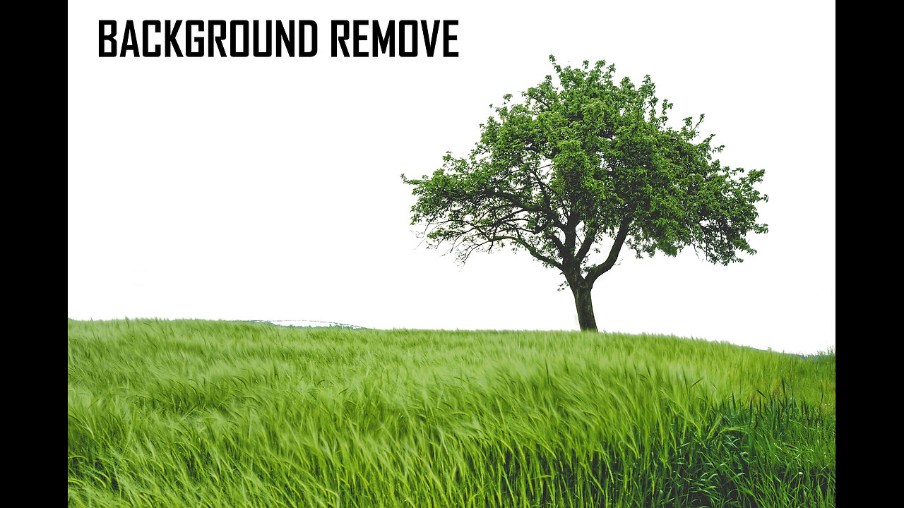 tree background for adobe photoshop 2024