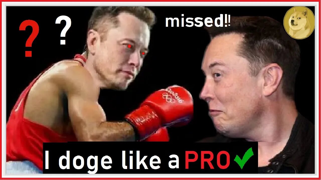 What Can Elon Musk Teach a Boxer??