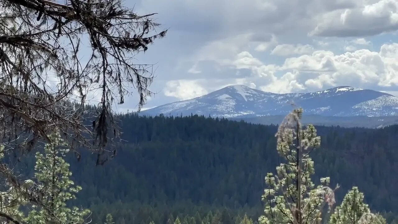 Magnificent View Found on the Homestead!