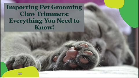 Mastering the Import Game: Bringing Innovative Pet Grooming Tools into the USA