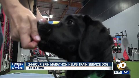 24-hour spin marathon helps train service dog