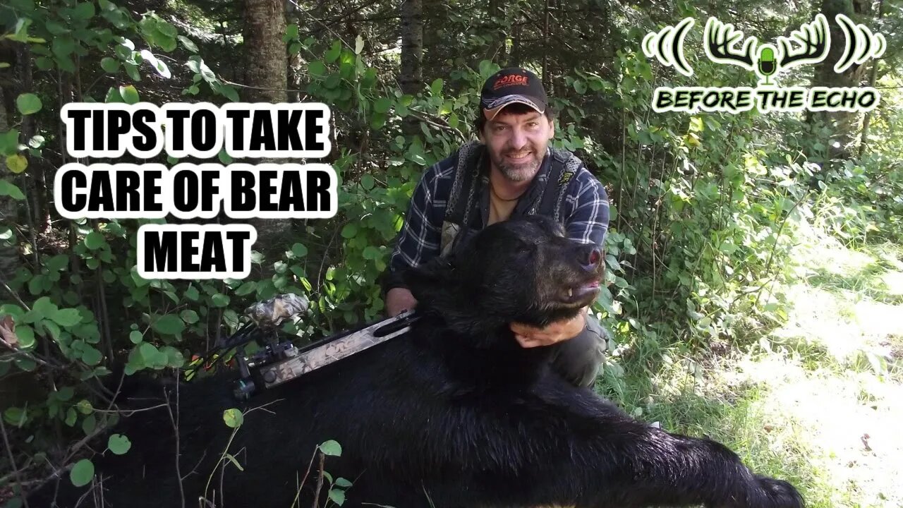 Is bear meat good to eat? with Dan Infalt