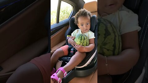 Zaya's Watermelon Wonderland: A Juicy Adventure