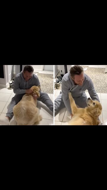 Ecstatic Dog Emotionally Reunited With Owner After Ten Months Away