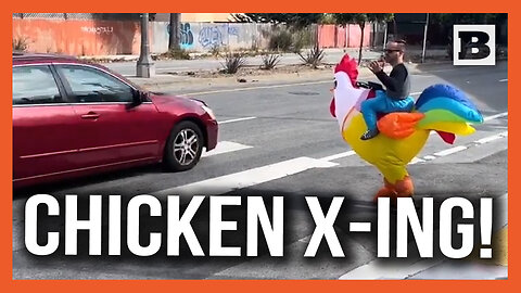 Must Be a San Fran Thing... Officer Dresses as Chicken to Catch Drivers Blazing Past Pedestrians